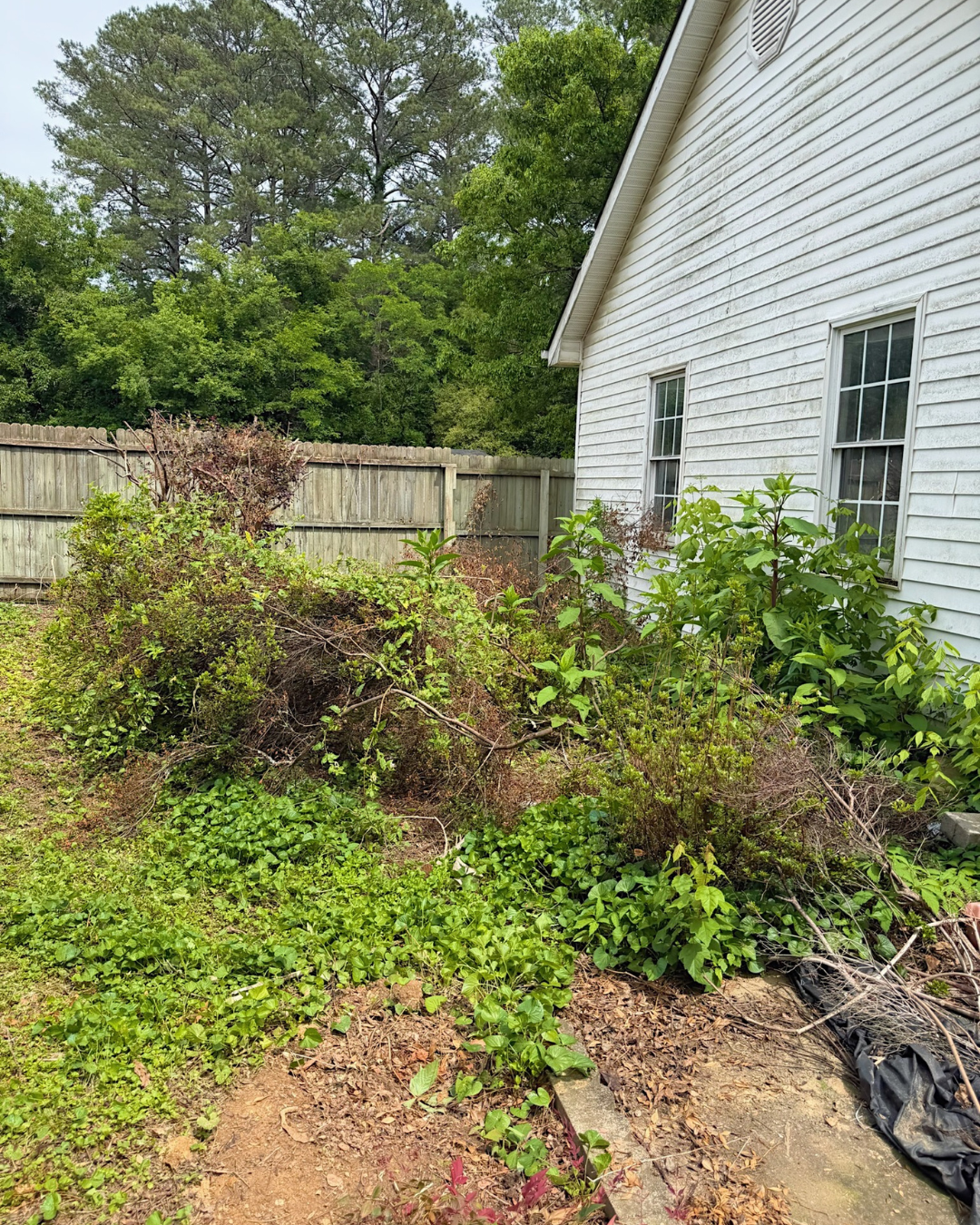 French Drain-Duke of Dirt