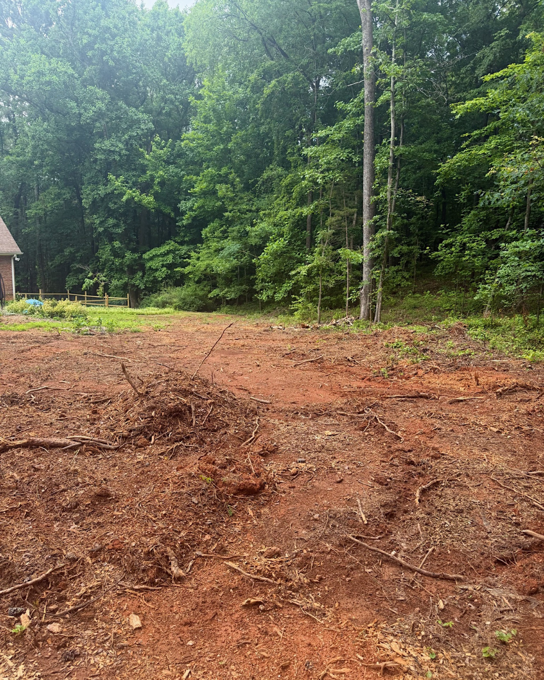 Backyard Remodel - Duke of Dirt